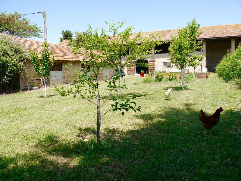 Ferme St Pierre 2 Suites Avec Piscine, Clim, Cheminee Ou Baignoire Spa Chabeuil Exterior foto