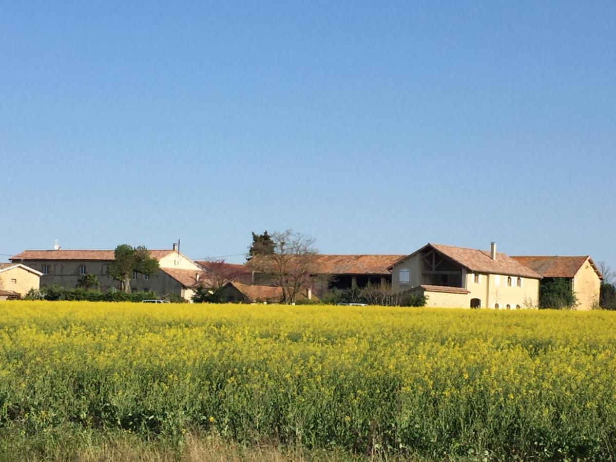 Ferme St Pierre 2 Suites Avec Piscine, Clim, Cheminee Ou Baignoire Spa Chabeuil Exterior foto